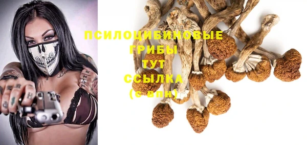a pvp Лагань