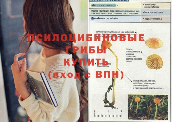 соль курить ск Лабытнанги